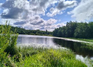 Дом на продажу, 26.7 м2, деревня Еваничи