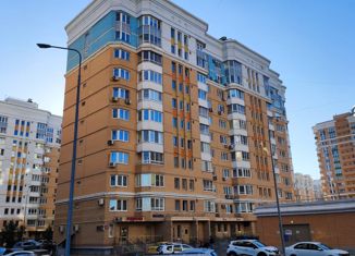 Продам квартиру студию, 17 м2, Москва, 6-я Радиальная улица, 3к7, станция Царицыно