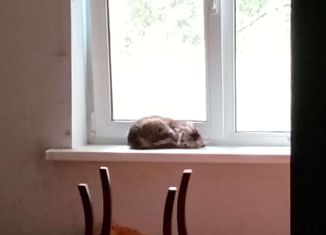 Продаю 2-ком. квартиру, 49.1 м2, посёлок Дубки, Юбилейная улица, 22А