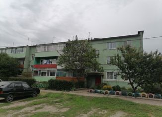 Продается 2-ком. квартира, 50.1 м2, село Новоживотинное, улица Механизаторов, 20