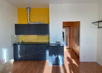 Продажа квартиры студии, 35 м2, Санкт-Петербург, Земледельческая улица, 5к2, Земледельческая улица