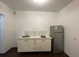 Аренда квартиры студии, 35.5 м2, Санкт-Петербург, улица Композиторов, 18, улица Композиторов