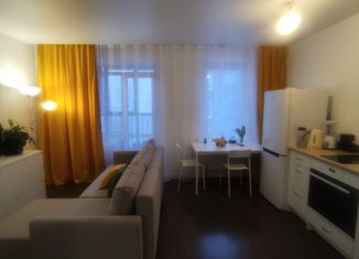 Продаю квартиру студию, 28 м2, деревня Царёво, улица Петра Гаврилова, 28