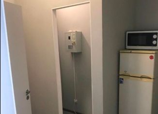 Продажа квартиры студии, 18.5 м2, Великий Новгород, Хутынская улица, 25к1