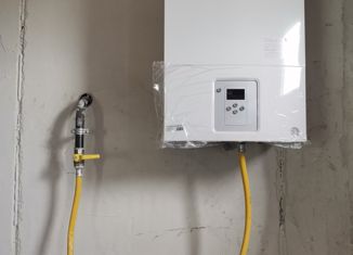 Дом на продажу, 100 м2, село Введенское, Центральная улица, 21