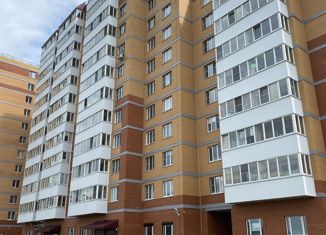 Квартира на продажу студия, 26 м2, деревня Малые Колпаны, микрорайон Речной, 3