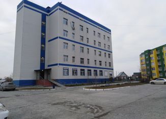 Продажа 1-комнатной квартиры, 43.5 м2, село Криводановка, Садовая улица, 17
