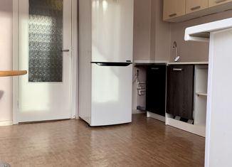 Продается однокомнатная квартира, 37 м2, Санкт-Петербург, проспект Пятилеток, 17к2, проспект Пятилеток