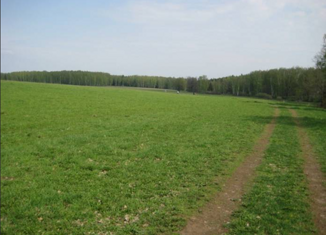 Продается земельный участок, 15 сот., деревня Вознесенье, Совхозная улица