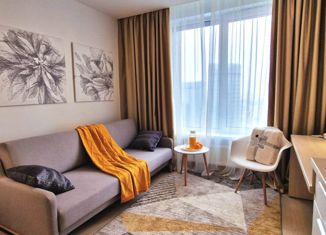 Сдам квартиру студию, 21 м2, Москва, 1-я улица Леонова, 18, район Ростокино