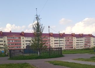 Продается однокомнатная квартира, 35 м2, село Дмитриевка, Трактовая улица, 28/2