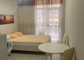 Квартира на продажу студия, 24 м2, Краснодар, Степная улица, 1/1, ЖК Мозаика