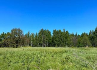 Продается участок, 15 сот., посёлок Добровольный, Лесная улица