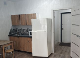 Сдаю квартиру студию, 24 м2, Пермь, улица Героев Хасана, 93, Свердловский район