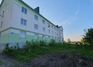 Продам 1-комнатную квартиру, 30.1 м2, село Бессоновка, Тихая улица, 134