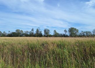 Продается земельный участок, 14 сот., Борковское сельское поселение