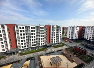 Продам квартиру студию, 25.3 м2, Санкт-Петербург, ЖК Солнечный Город, проспект Будённого, 19к1