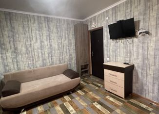 Продам квартиру студию, 22 м2, Ольгинка, Заречная улица, 7Б