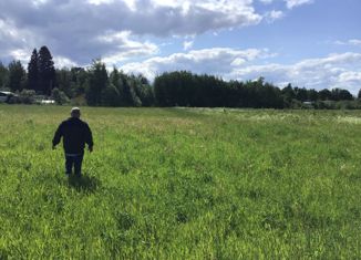 Продам участок, 670 сот., деревня Носово