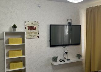 Квартира на продажу студия, 17.2 м2, Нижний Новгород, ЖК Корабли, проспект Кораблестроителей, 66