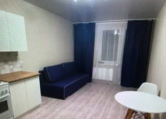 Продаю 1-комнатную квартиру, 24.9 м2, Ростов-на-Дону, ЖК Платовский, улица Теряева, 8