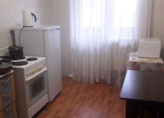 Продается 1-комнатная квартира, 30 м2, поселок городского типа Емельяново, Новая улица, 16