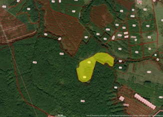 Продажа земельного участка, 1700 сот., деревня Пашково
