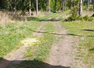 Продам участок, 15 сот., деревня Казанка