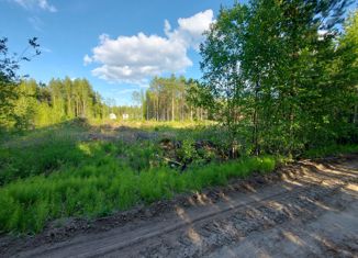 Продаю земельный участок, 16 сот., посёлок городского типа Верхняя Максаковка, 4-я линия