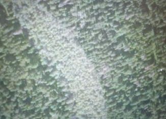 Продаю земельный участок, 27 сот., село Пристань, улица Чапаева