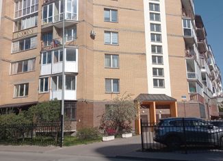 Продам 1-комнатную квартиру, 44 м2, Санкт-Петербург, 1-я Утиная улица, 28, 1-я Утиная улица