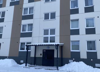 Продается 1-комнатная квартира, 30.2 м2, Петрозаводск, улица Белинского, 13А, район Старая Кукковка