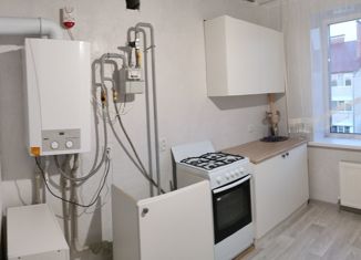 Продажа 1-комнатной квартиры, 39.4 м2, Бор, улица Красногорка, 21к1