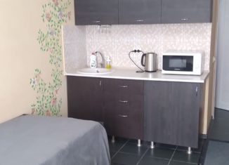 Продажа квартиры студии, 18 м2, село Лермонтово, Ростовская улица, 8А