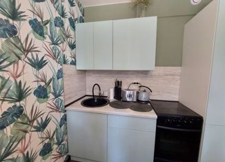 Продажа 1-комнатной квартиры, 27 м2, Костомукша, Советская улица, 6