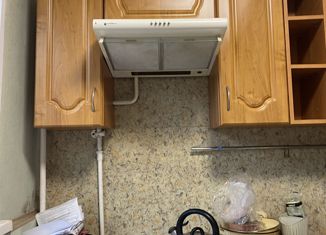 Продается 1-ком. квартира, 31 м2, Санкт-Петербург, аллея Котельникова, 4, аллея Котельникова