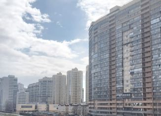 Продается 1-комнатная квартира, 32.5 м2, Санкт-Петербург, улица Композиторов, 20к1, метро Проспект Просвещения