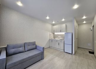 Квартира на продажу студия, 17 м2, Пермский край, улица Николая Быстрых, 9