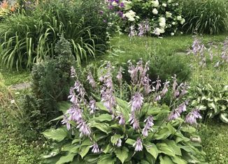 Продам дом, 67.6 м2, СНТ Раздолье, СНТ Раздолье, 222