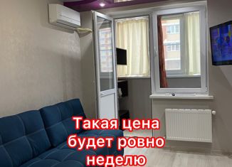 Продается 2-комнатная квартира, 46 м2, Краснодар, улица Западный Обход, 42/3к1, ЖК Спортивная деревня