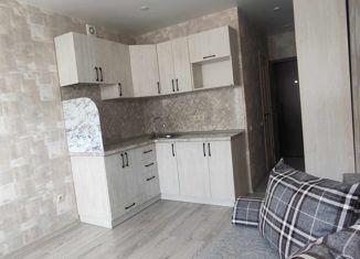 Продается квартира студия, 19 м2, Михайловск, улица Александра Грибоедова, 3/4