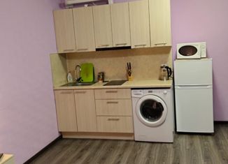 Сдам в аренду квартиру студию, 32 м2, Санкт-Петербург, улица Швецова, 8, муниципальный округ Нарвский