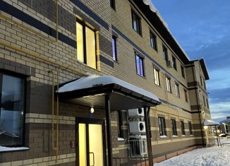 Продается 1-ком. квартира, 41 м2, деревня Брусилово, Сиреневая улица, 1