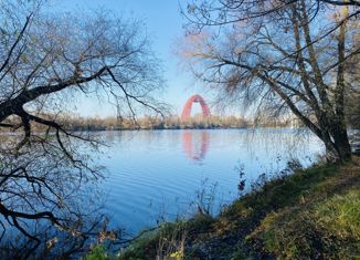 2-комнатная квартира на продажу, 54.3 м2, Москва, проспект Маршала Жукова, 51, метро Народное Ополчение
