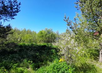 Продаю дом, 70 м2, массив Кунинские дачи, Пятнадцатая улица