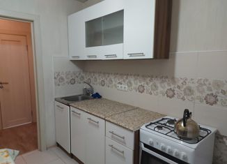 Продаю 1-ком. квартиру, 30 м2, поселок Верхнетемерницкий, улица Венеры, 24к10, ЖК Спутник