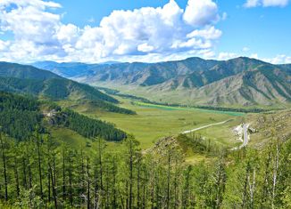 Продается участок, 300 сот., поселок Катунь, Центральная улица