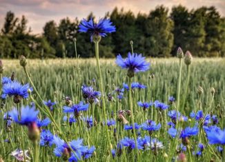 Продажа земельного участка, 6 сот., массив Старая Мельница