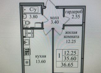 Продается однокомнатная квартира, 35.1 м2, посёлок Парголово, улица Шишкина, 291к1