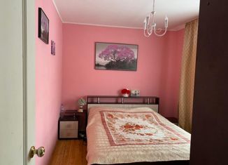 Продается дом, 60 м2, деревня Шемякино, деревня Шемякино, 48Б